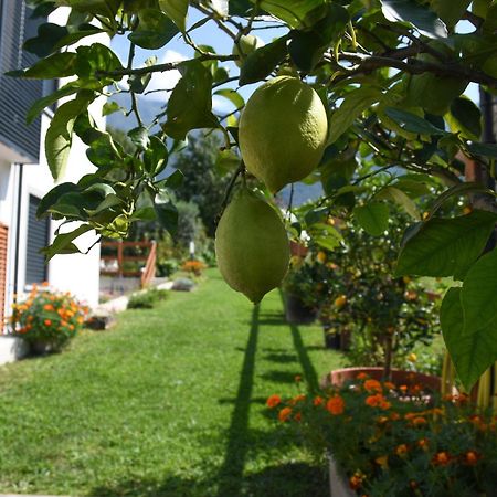 Ferienwohnung Il Giardino Dei Ciliegi Colico Exterior foto