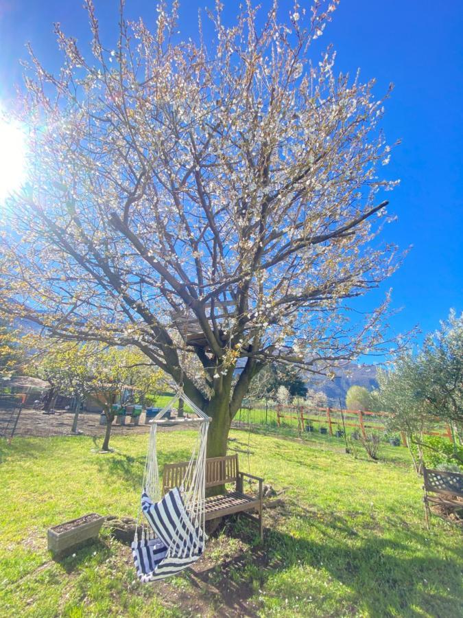Ferienwohnung Il Giardino Dei Ciliegi Colico Exterior foto