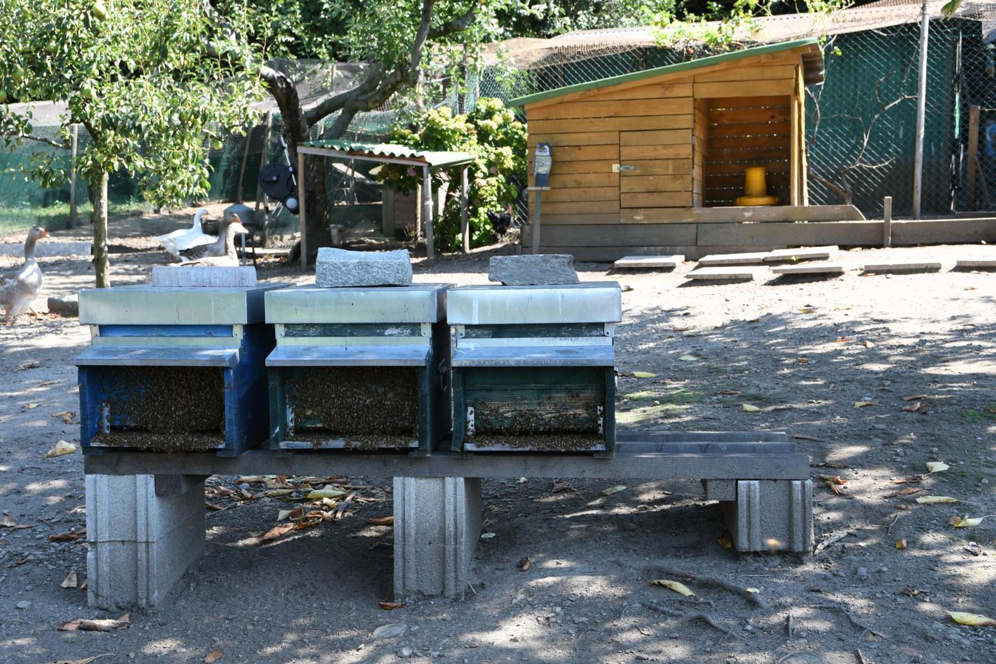 Ferienwohnung Il Giardino Dei Ciliegi Colico Exterior foto